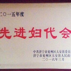 先進婦代會